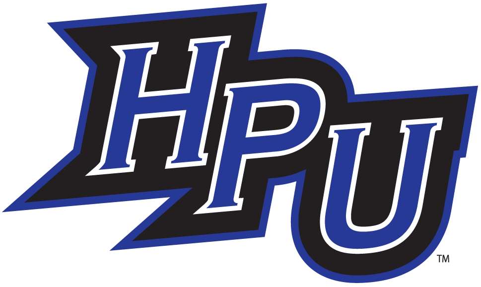 High Point Panthers 2004-2011 Alternate Logo t shirts iron on transfers v4